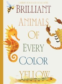 bokomslag Brilliant Animals Of Every Color