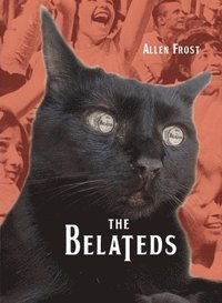 bokomslag Belateds