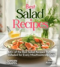 bokomslag Best Salad Recipes
