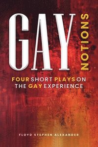 bokomslag Gay Notions