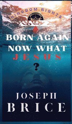 Born Again Now What Jesus 1