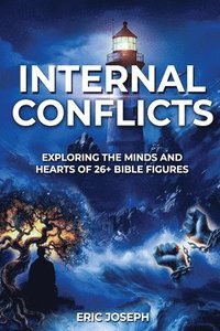 bokomslag Internal Conflicts