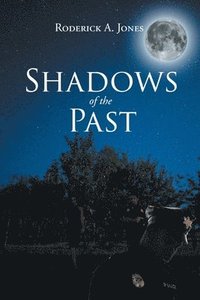 bokomslag Shadows of the Past
