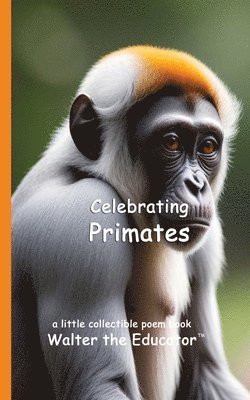 bokomslag Celebrating Primates
