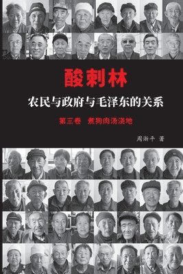 淅平 周 - 酸刺林：农民与政府与毛泽东的关系（三卷）, Häftad