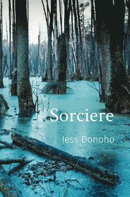 bokomslag Sorciere