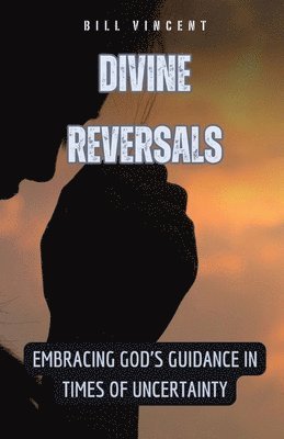 bokomslag Divine Reversals