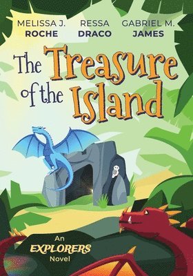 bokomslag The Treasure of the Island