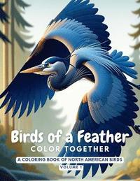 bokomslag Birds of a Feather Color Together