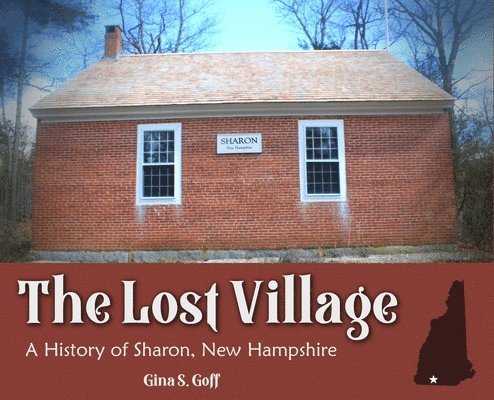 Gina S Goff, Gina S. Goff - Lost Village, Inbunden