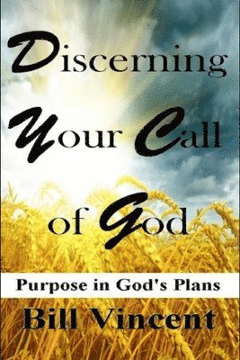 bokomslag Discerning Your Call of God