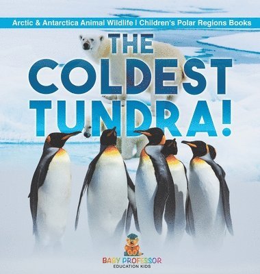 bokomslag Coldest Tundra! Arctic & Antarctica Animal Wildlife Children's Polar Regions Books