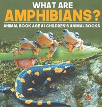 bokomslag What are Amphibians? Animal Book Age 8 Children's Animal Books