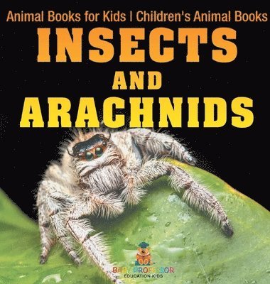 bokomslag Insects and Arachnids