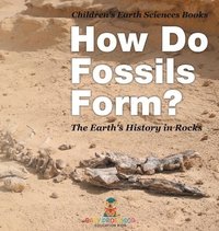 bokomslag How Do Fossils Form? The Earth's History in Rocks Children's Earth Sciences Books