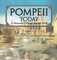 bokomslag Pompeii Today