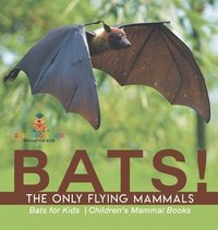 bokomslag BATS! The Only Flying Mammals Bats for Kids Children's Mammal Books
