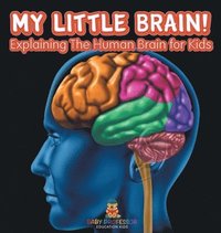 bokomslag My Little Brain! - Explaining The Human Brain for Kids