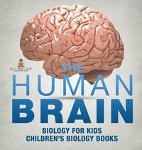 bokomslag Human Brain - Biology for Kids Children's Biology Books