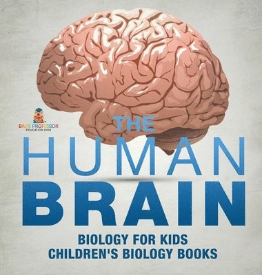 bokomslag Human Brain - Biology for Kids Children's Biology Books