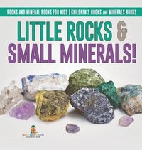 bokomslag Little Rocks & Small Minerals! Rocks And Mineral Books for Kids Children's Rocks & Minerals Books