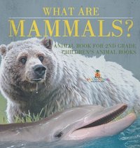 bokomslag What are Mammals? Animal Book for 2nd Grade Children's Animal Books
