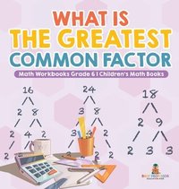 bokomslag What is the Greatest Common Factor - Math Workbooks Grade 6 Children's Math Books