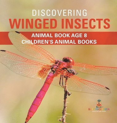 bokomslag Discovering Winged Insects - Animal Book Age 8 Children's Animal Books