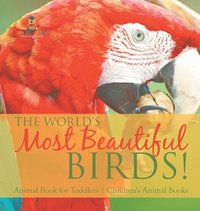 bokomslag World's Most Beautiful Birds! Animal Book for Toddlers Children's Animal Books