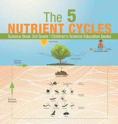 bokomslag 5 Nutrient Cycles - Science Book 3rd Grade Children's Science Education books