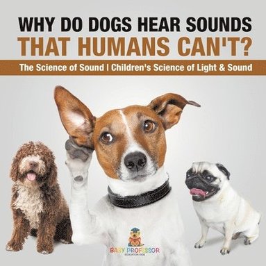 bokomslag Why Do Dogs Hear Sounds That Humans Can't? - The Science of Sound Children's Science of Light & Sound
