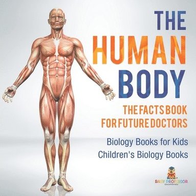 bokomslag The Human Body