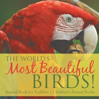 bokomslag World's Most Beautiful Birds! Animal Book for Toddlers Children's Animal Books