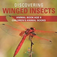 bokomslag Discovering Winged Insects - Animal Book Age 8 Children's Animal Books