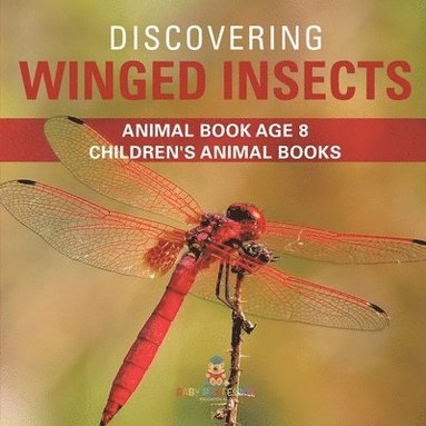 bokomslag Discovering Winged Insects - Animal Book Age 8 Children's Animal Books