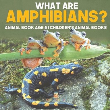 bokomslag What are Amphibians? Animal Book Age 8 Children's Animal Books