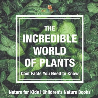 bokomslag Incredible World of Plants - Cool Facts You Need to Know - Nature for Kids Children's Nature Books