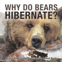 bokomslag Why Do Bears Hibernate? Animal Book Grade 2 Children's Animal Books