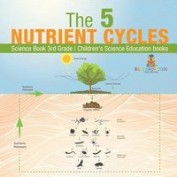 bokomslag 5 Nutrient Cycles - Science Book 3rd Grade Children's Science Education books