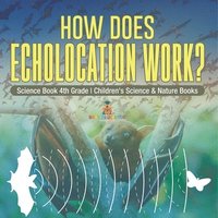 bokomslag How Does Echolocation Work? Science Book 4th Grade Children's Science & Nature Books