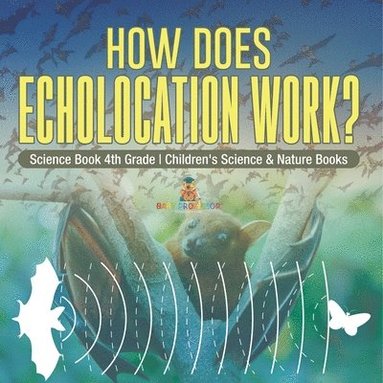 bokomslag How Does Echolocation Work? Science Book 4th Grade Children's Science & Nature Books