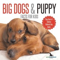 bokomslag Big Dogs & Puppy Facts for Kids Dogs Book for Children Children's Dog Books