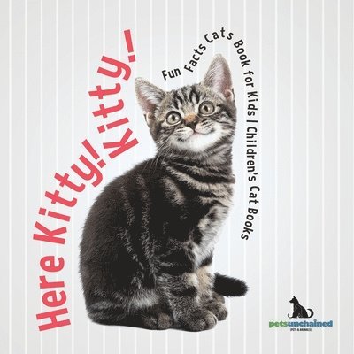 Here Kitty! Kitty! Fun Facts Cats Book for Kids Children's Cat Books