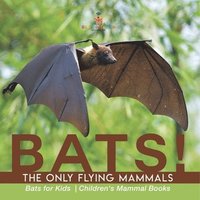 bokomslag BATS! The Only Flying Mammals Bats for Kids Children's Mammal Books