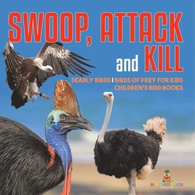 bokomslag Swoop, Attack and Kill - Deadly Birds Birds Of Prey for Kids Children's Bird Books