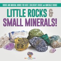 bokomslag Little Rocks & Small Minerals! Rocks And Mineral Books for Kids Children's Rocks & Minerals Books