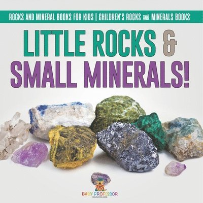 Little Rocks & Small Minerals! Rocks And Mineral Books for Kids Children's Rocks & Minerals Books 1