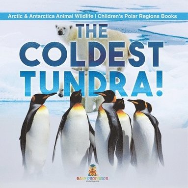 bokomslag Coldest Tundra! Arctic & Antarctica Animal Wildlife Children's Polar Regions Books