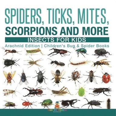 bokomslag Spiders, Ticks, Mites, Scorpions and More Insects for Kids - Arachnid Edition Children's Bug & Spider Books