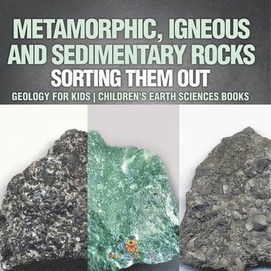 bokomslag Metamorphic, Igneous and Sedimentary Rocks: Sorting Them Out - Geology for Kids Children's Earth Sciences Books